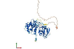 Protein Structure (PS) image for NAD Kinase (NADK) (AA 1-439) protein (His tag) (ABIN7556507)