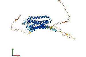 AlphaFold protein structure predicition of Mouse Recombinant Adrb3 Protein, UniprotID P25962