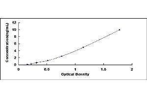 Typical standard curve (Angiotensin II Type 2 Receptor ELISA 试剂盒)