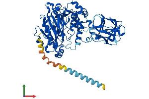 Protein Structure (PS) image for UDP-N-Acetyl-alpha-D-Galactosamine:polypeptide N-Acetylgalactosaminyltransferase 13 (GalNAc-T13) (GALNT13) (AA 1-556) protein (His tag) (ABIN7554021)