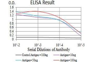 Black line: Control Antigen (100 ng);Purple line: Antigen (10ng); Blue line: Antigen (50 ng); Red line:Antigen (100 ng) (MMP2 抗体  (AA 9-140))