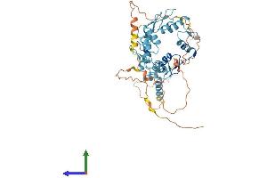 Protein Structure (PS) image for Zinc Finger and SCAN Domain Containing 21 (Zscan21) (AA 1-473) protein (His tag) (ABIN7545606)