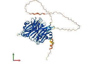 Protein Structure (PS) image for Sialidase 4 (NEU4) (AA 1-478) protein (His tag) (ABIN7559047)
