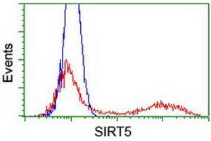 Flow Cytometry (FACS) image for anti-Sirtuin 5 (SIRT5) antibody (ABIN1500935) (SIRT5 抗体)