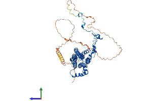 Protein Structure (PS) image for Bestrophin 1 (BEST1) (AA 1-551) protein (His tag) (ABIN7562679)