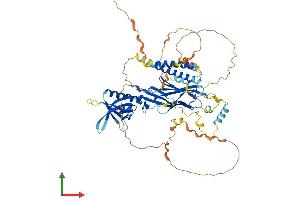 AlphaFold protein structure predicition of Human Recombinant RTKN2 Protein, UniprotID Q8IZC4