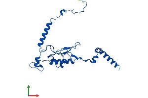 AlphaFold protein structure predicition of Mouse Recombinant Rpl13 Protein, UniprotID P47963 (RPL13 Protein (AA 1-211) (His tag))