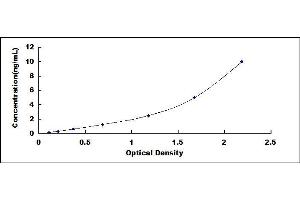 Typical standard curve (GZMK ELISA 试剂盒)