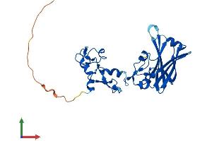 Protein Structure (PS) image for E3 Ubiquitin-Protein Ligase SIAH1 (SIAH1) (AA 1-282) protein (His tag) (ABIN7555463)