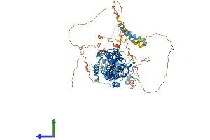 AlphaFold protein structure predicition of Human Recombinant RHBDF1 Protein, UniprotID Q96CC6