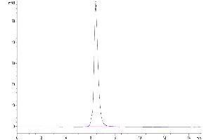 Size-exclusion chromatography-High Pressure Liquid Chromatography (SEC-HPLC) image for Programmed Cell Death 1 (PDCD1) (AA 25-167) protein (mFc Tag) (ABIN7275420)