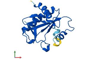 AlphaFold protein structure predicition of Mouse Recombinant Fhit Protein, UniprotID O89106
