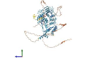 Protein Structure (PS) image for Zinc Finger with KRAB and SCAN Domains 7 (ZKSCAN7) (AA 1-754) protein (His tag) (ABIN7545389)