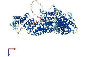Protein Structure (PS) image for Tetratricopeptide Repeat Domain 13 (TTC13) (AA 1-860) protein (His tag) (ABIN7544932)