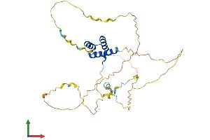 AlphaFold protein structure predicition of Human Recombinant HOXA4 Protein, UniprotID Q00056 (HOXA4 Protein (AA 1-320) (His tag))