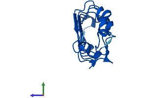 Protein Structure (PS) image for Acidic (Leucine-Rich) Nuclear Phosphoprotein 32 Family, Member D (ANP32D) (AA 1-131) protein (His tag) (ABIN7552214)