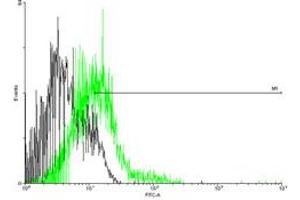 FACS analysis of negative control 293 cells (Black) and CCBP2 expressing 293 cells (Green) using CCBP2 purified MaxPab mouse polyclonal antibody. (CCBP2 抗体  (AA 1-384))