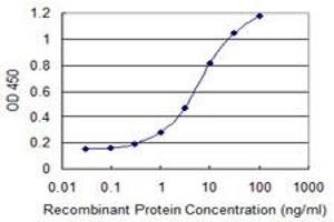 Detection limit for recombinant GST tagged ZNF154 is 0. (ZNF154 抗体  (AA 1-98))
