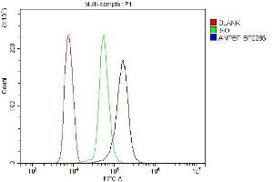 Flow Cytometry analysis of U937 cells using anti-ANPEP antibody (ABIN7600087).