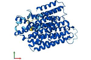 Protein Structure (PS) image for Mitochondrially Encoded NADH Dehydrogenase 4 (MT-ND4) (AA 1-459) protein (His tag) (ABIN7549964)