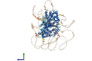 Protein Structure (PS) image for GTPase Activating Protein and VPS9 Domains 1 (GAPVD1) (AA 1-1458) protein (His tag) (ABIN7564108)