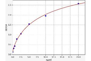 Insulin-Degrading Enzyme (IDE) ELISA Kit