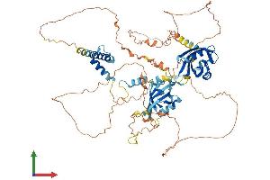 Protein Structure (PS) image for Aryl Hydrocarbon Receptor Nuclear Translocator 2 (ARNT2) (AA 1-712) protein (His tag) (ABIN7557692)