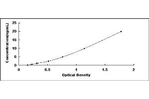 Typical standard curve (alpha Fetoprotein ELISA 试剂盒)