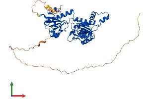 Protein Structure (PS) image for C-terminal Binding Protein 2 (CTBP2) (AA 1-445) protein (His tag) (ABIN7556482)