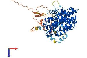 SESN3 Protein (AA 1-492) (His tag)