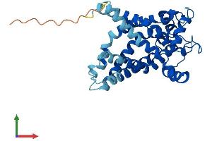 Protein Structure (PS) image for Solute Carrier Family 25 (Mitochondrial Carrier, Adenine Nucleotide Translocator), Member 31 (SLC25A31) (AA 1-315) protein (His tag) (ABIN7551909)