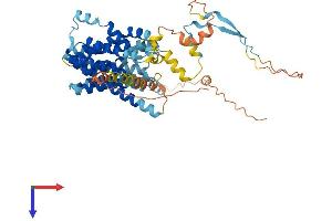 AlphaFold protein structure predicition of Human Recombinant SLC35F5 Protein, UniprotID Q8WV83