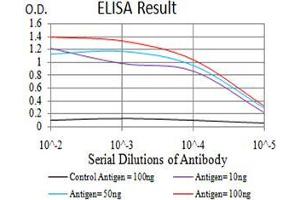 Black line: Control Antigen (100 ng),Purple line: Antigen (10 ng), Blue line: Antigen (50 ng), Red line:Antigen (100 ng) (SHP1 抗体  (AA 243-541))