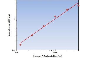 This is an example of what a typical standard curve will look like. (P-Cadherin ELISA 试剂盒)