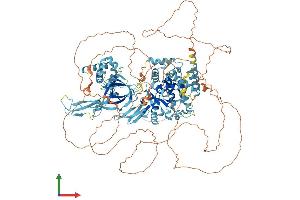 Protein Structure (PS) image for Minichromosome Maintenance Deficient 9 (MCM9) (AA 1-1143) protein (His tag) (ABIN7554482)