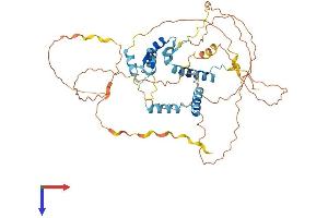NUFIP1 Protein (AA 1-484) (His tag)