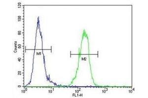 Flow Cytometry (FACS) image for anti-V-Akt Murine Thymoma Viral Oncogene Homolog 1 (AKT1) (AA 115-144) antibody (ABIN3029459)