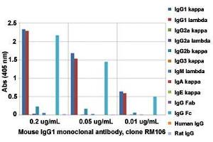 ELISA analysis of Mouse IgG1 monoclonal antibody, clone RM106  at the following concentrations: 0.