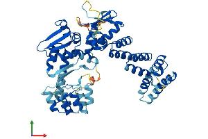 Protein Structure (PS) image for Ankyrin Repeat and BTB (POZ) Domain Containing 1 (ABTB1) (AA 1-478) protein (His tag) (ABIN7551799)