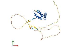 Protein Structure (PS) image for SRY (Sex Determining Region Y)-Box 14 (SOX14) (AA 1-240) protein (His tag) (ABIN7546195)