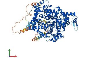 Protein Structure (PS) image for Adenosine Monophosphate Deaminase 1 (AMPD1) (AA 1-745) protein (His tag) (ABIN7557343)