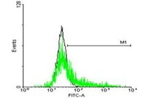 Flow Cytometry (FACS) image for anti-Signal Sequence Receptor, alpha (SSR1) (AA 1-286) antibody (ABIN520503)