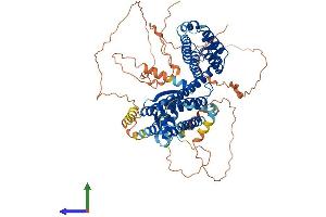 Protein Structure (PS) image for Regulatory Factor X 2 (RFX2) (AA 1-717) protein (His tag) (ABIN7563312)