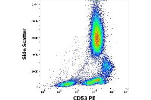 Flow cytometry surface staining pattern of human peripheral whole blood stained using anti-human CD53 (MEM-53) PE antibody (20 μL reagent / 100 μL of peripheral whole blood). (CD53 抗体  (PE))