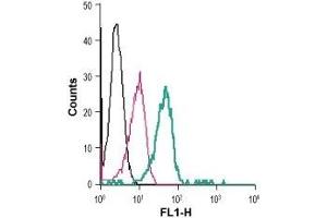 Cell surface detection of VPAC1 in live intact human THP-1 monocytic leukemia cells: (black line) Cells. (VIPR1 抗体  (Extracellular) (FITC))