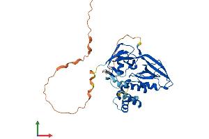 Protein Structure (PS) image for GIPC PDZ Domain Containing Family, Member 1 (GIPC1) (AA 1-333) protein (His tag) (ABIN7556344)