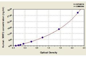 Typical standard curve (WNT2 ELISA 试剂盒)