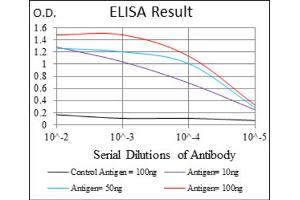 Red: Control Antigen (100ng) ; Purple: Antigen (10ng) ; Green: Antigen (50ng) ; Blue: Antigen (100ng).