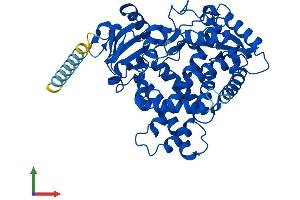 Protein Structure (PS) image for Cytochrome P450, Family 2, Subfamily A, Polypeptide 7 (CYP2A7) (AA 1-494) protein (His tag) (ABIN7546657)