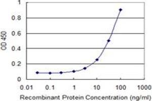 Detection limit for recombinant GST tagged SCGB1A1 is 1 ng/ml as a capture antibody. (SCGB1A1 抗体  (AA 22-91))